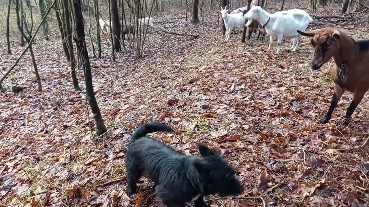21 декабря 2025 г.
