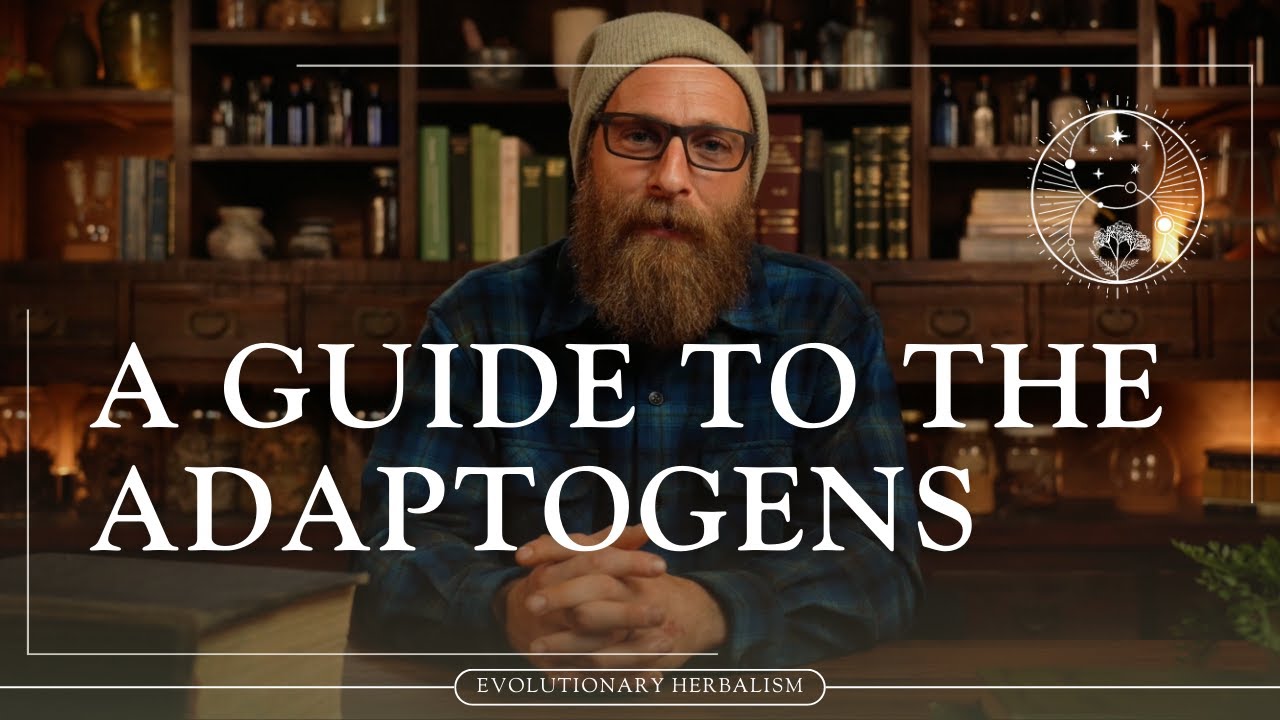 Adaptogenic Herbs and How to Use Them