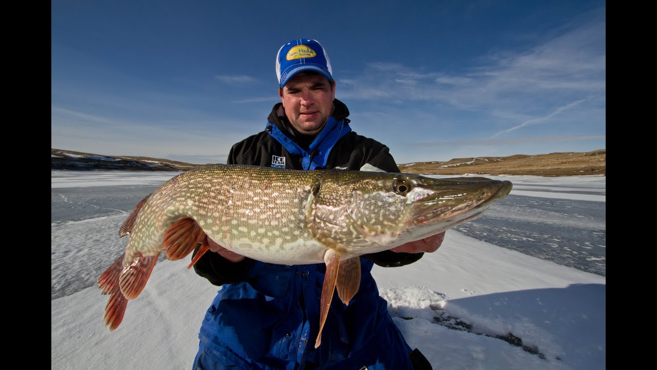 Trophy Ice Fishing Opportunities on Fort Peck