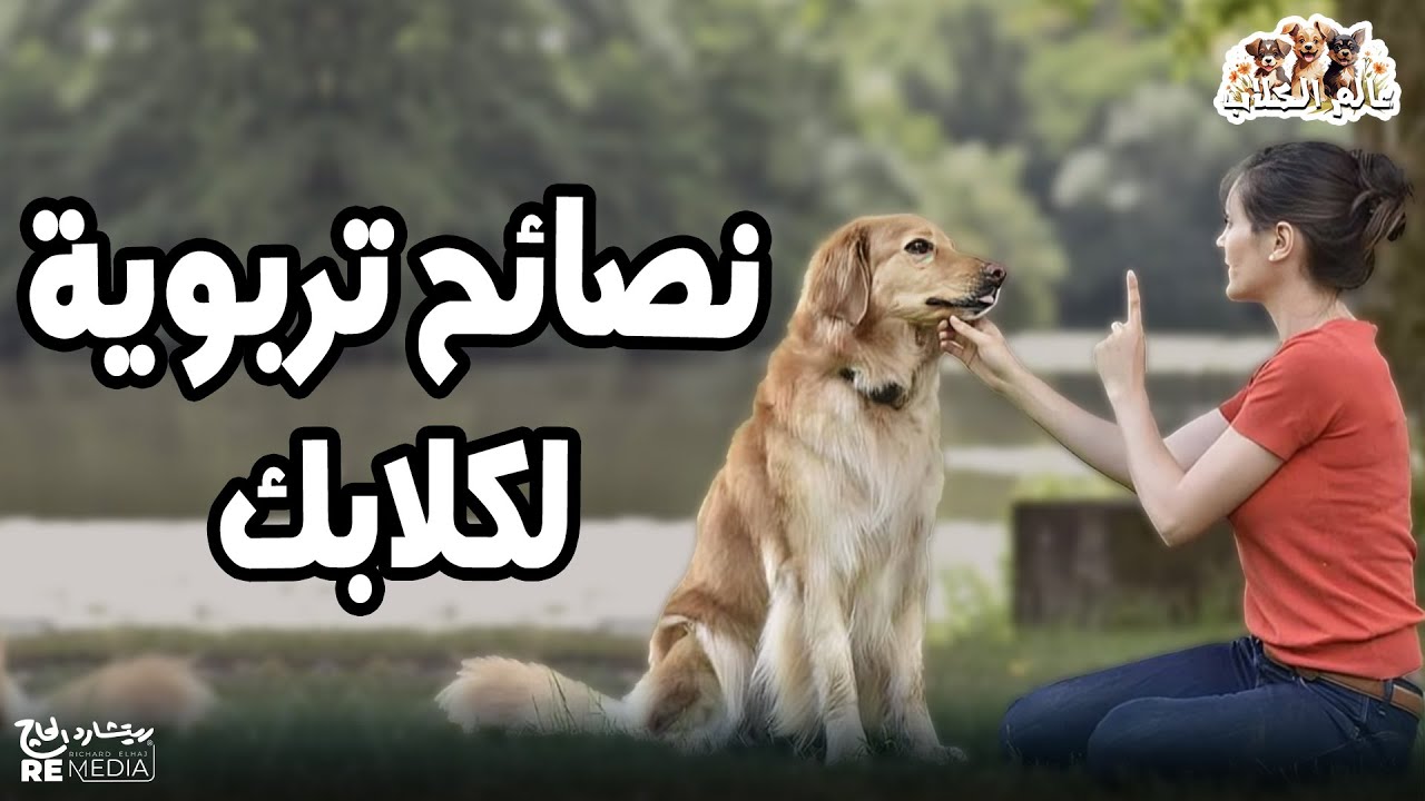نصايح تربويه للكلاب🦴🐾