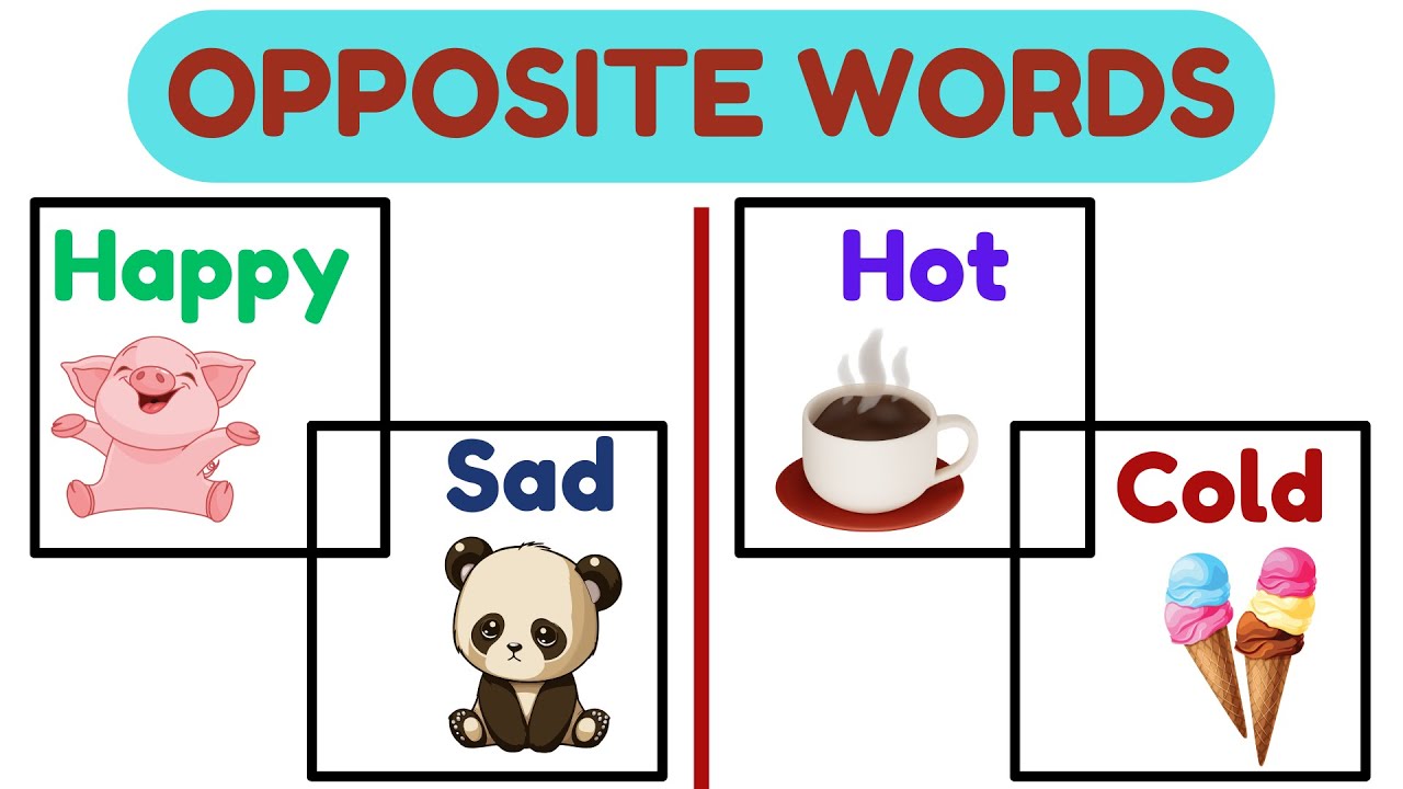 Opposite Words for Kids | Fun Way to Learn New Vocabulary | Educational Videos for Kids | English