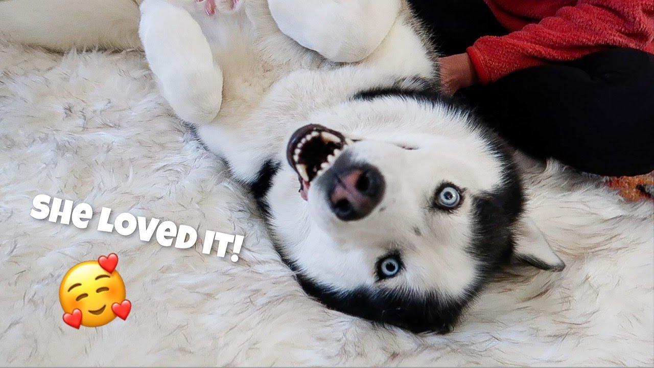 We Surprised Her With This!