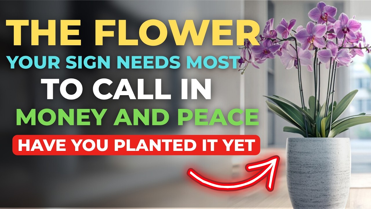 This Flower Matches Your Birth Element – Use It to Attract Money and Clear Negative Luck