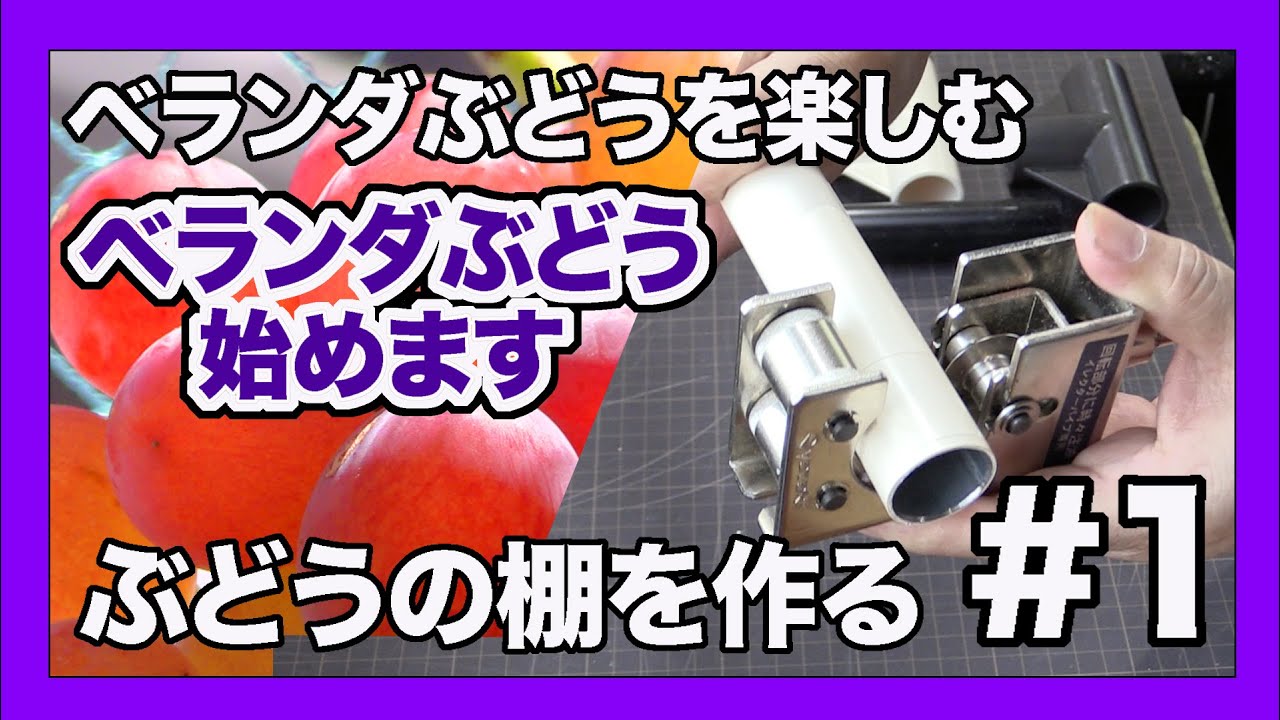 [ベランダ葡萄]ベランダのブドウ棚をイレクターパイプで作るDIY　#1