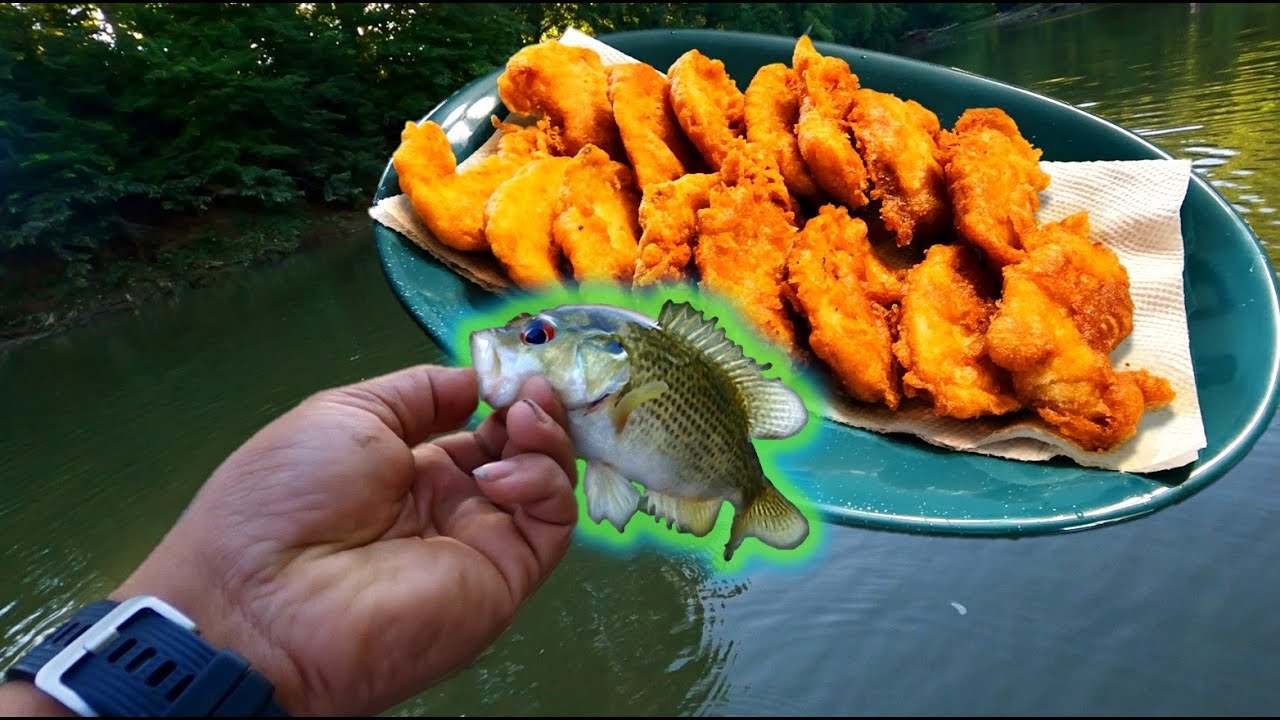 these guys are DELICIOUS fried WHOLE (Rockbass Catch and Cook Recipe) #rockbass #catchandcook #food