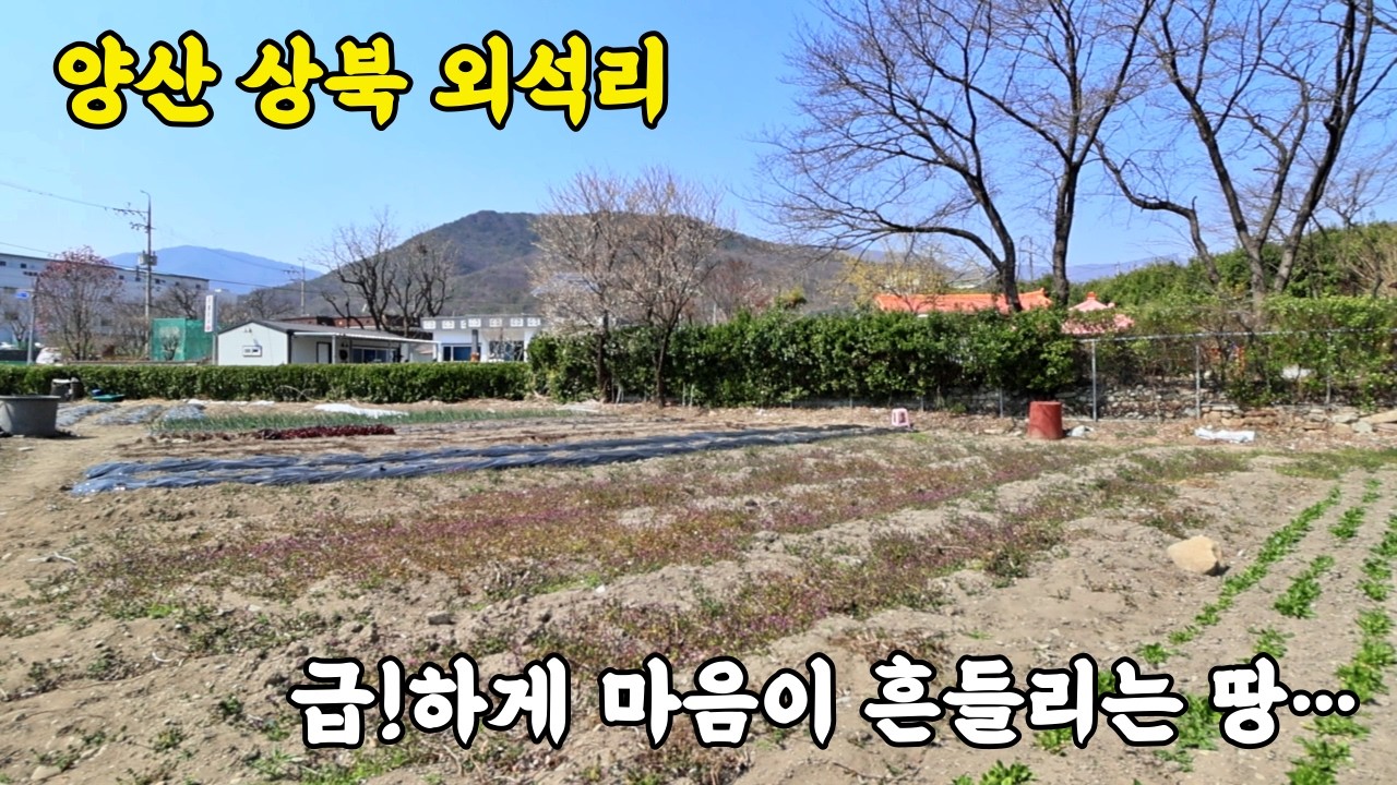 (매물번호 426번)양산 상북 외석리,농막 두고, 창고 짓고, 주거까지 가능한 다용도 토지