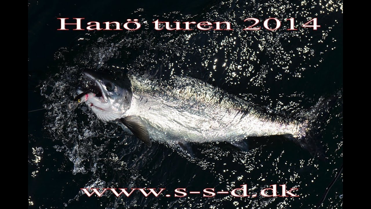Trolling TV - Trailer til Hasslö turen 2014