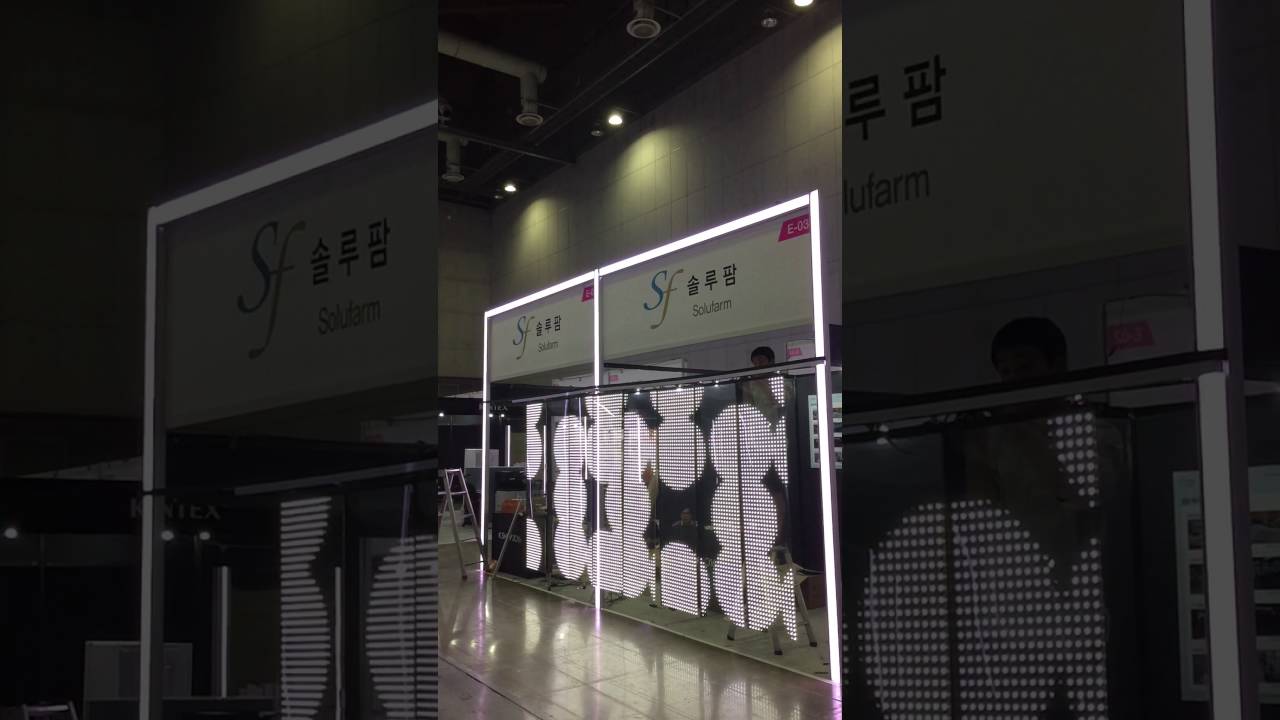 Transparent LED solution(size : 2.0m * 4.0 m)