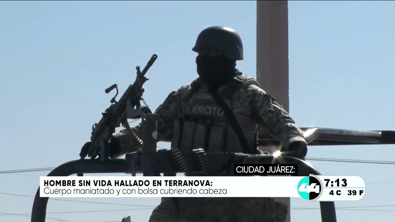 Hombre sin vida hallado en Terranova