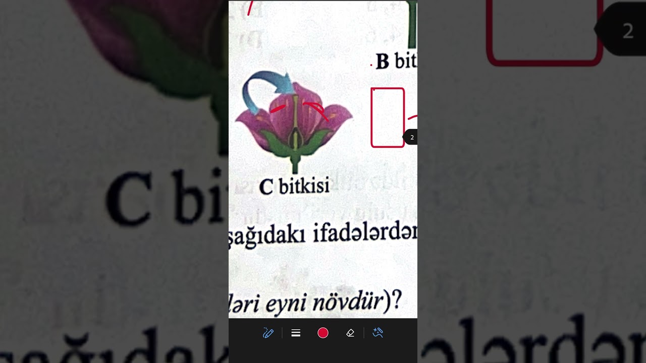 RFM hazırlıq vəsaiti. Bölmə 3 sınaq 3 