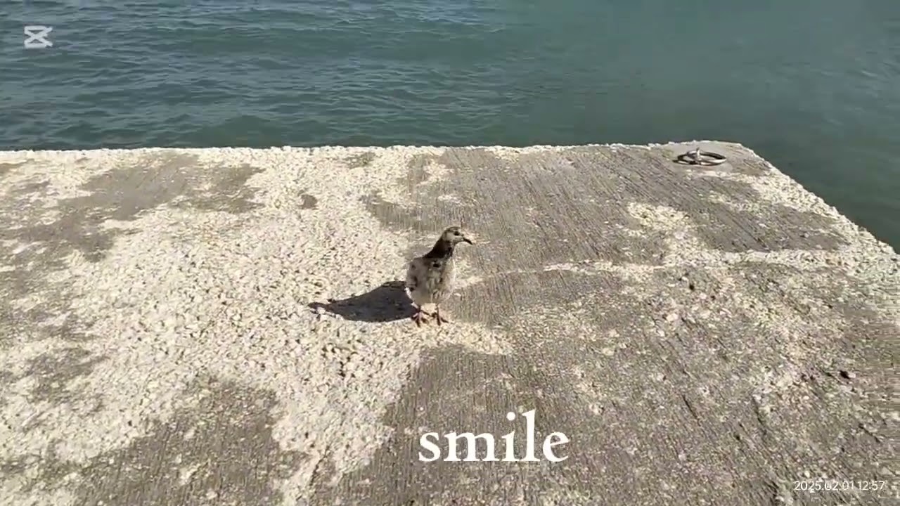 WALKING AROUND THE SEASIDE // SMILE #travel #amazing #relaxing #moments