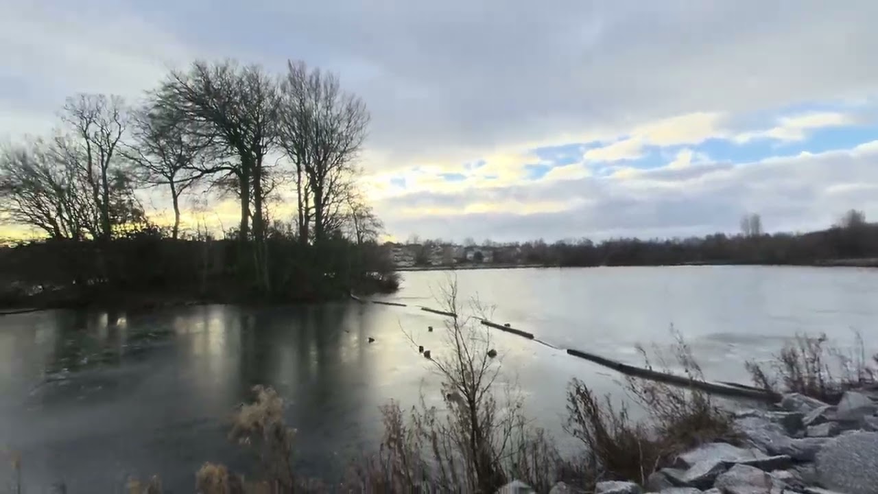 James Hamilton Heritage Park - 10 Jan 2026