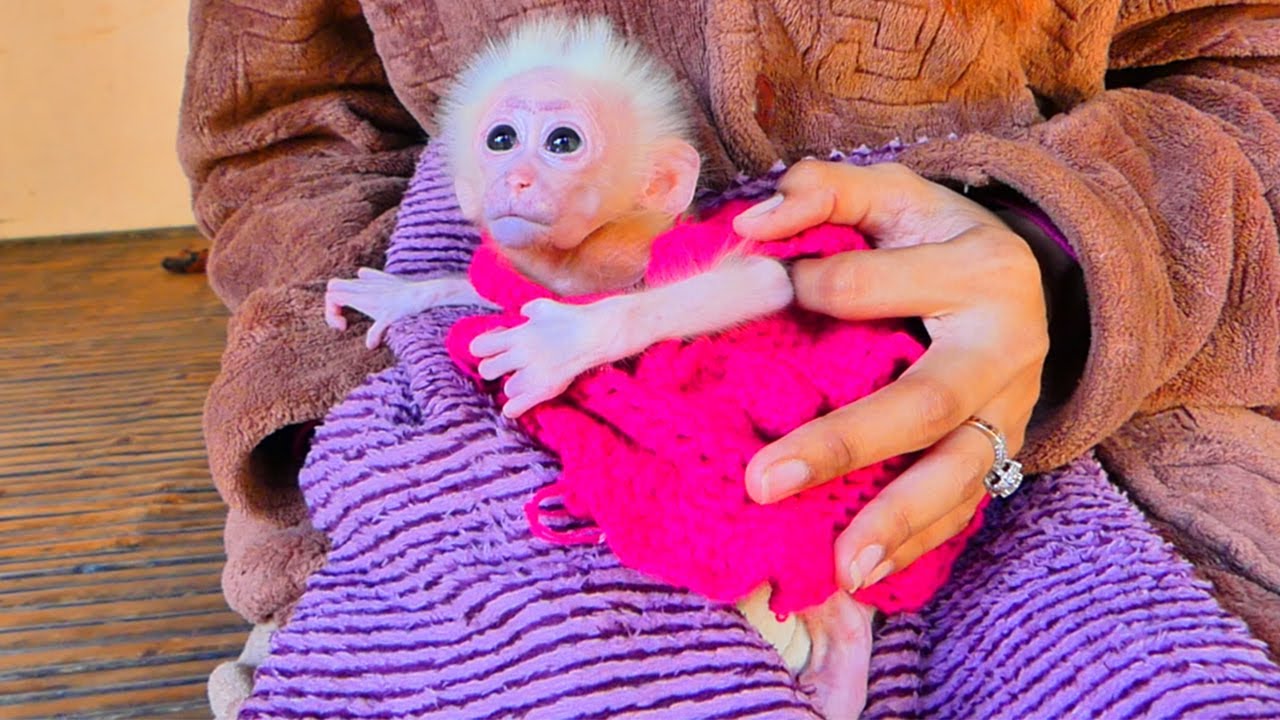 Baby Kira so happy when mom put and take care her
