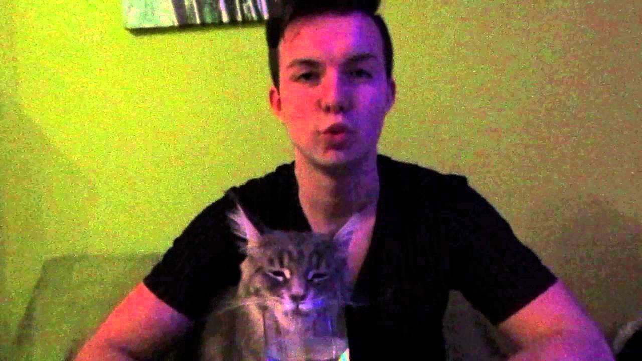 Unsere Zuchtkatze Ischi