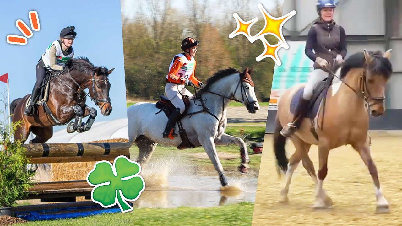 Body check alle paarden + internationale EVENTING wedstrijd!! | felinehoi VLOG #441