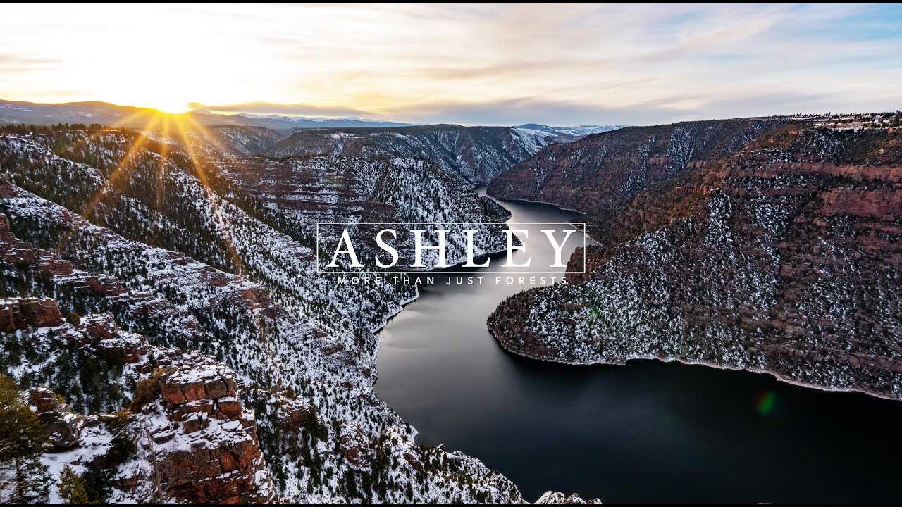 ASHLEY National Forest 8K Utah (Visually Stunning 3min Tour)