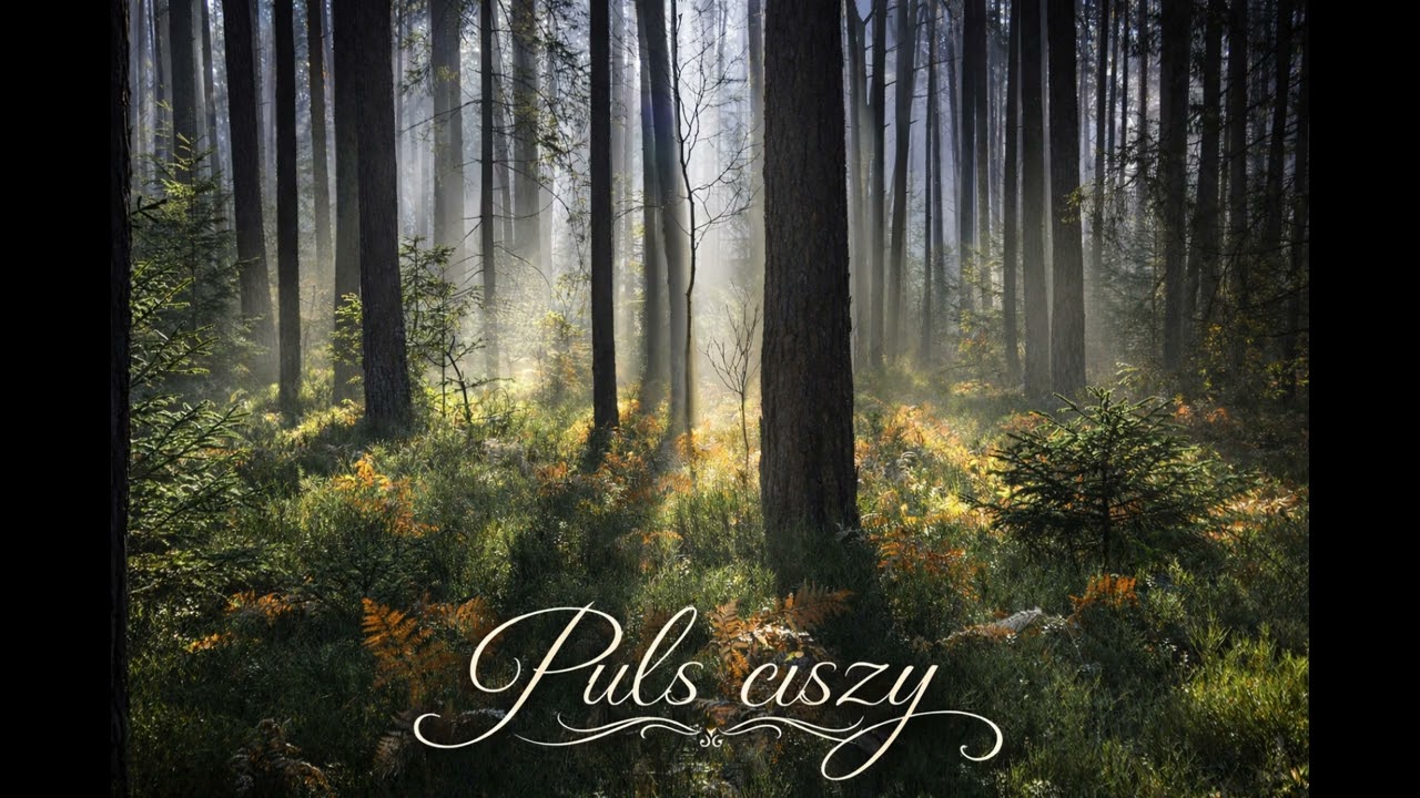 Puls ciszy