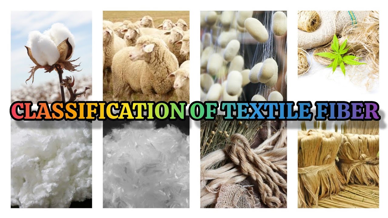 Classification of Textile Fiber | Types of Fiber in Textile 