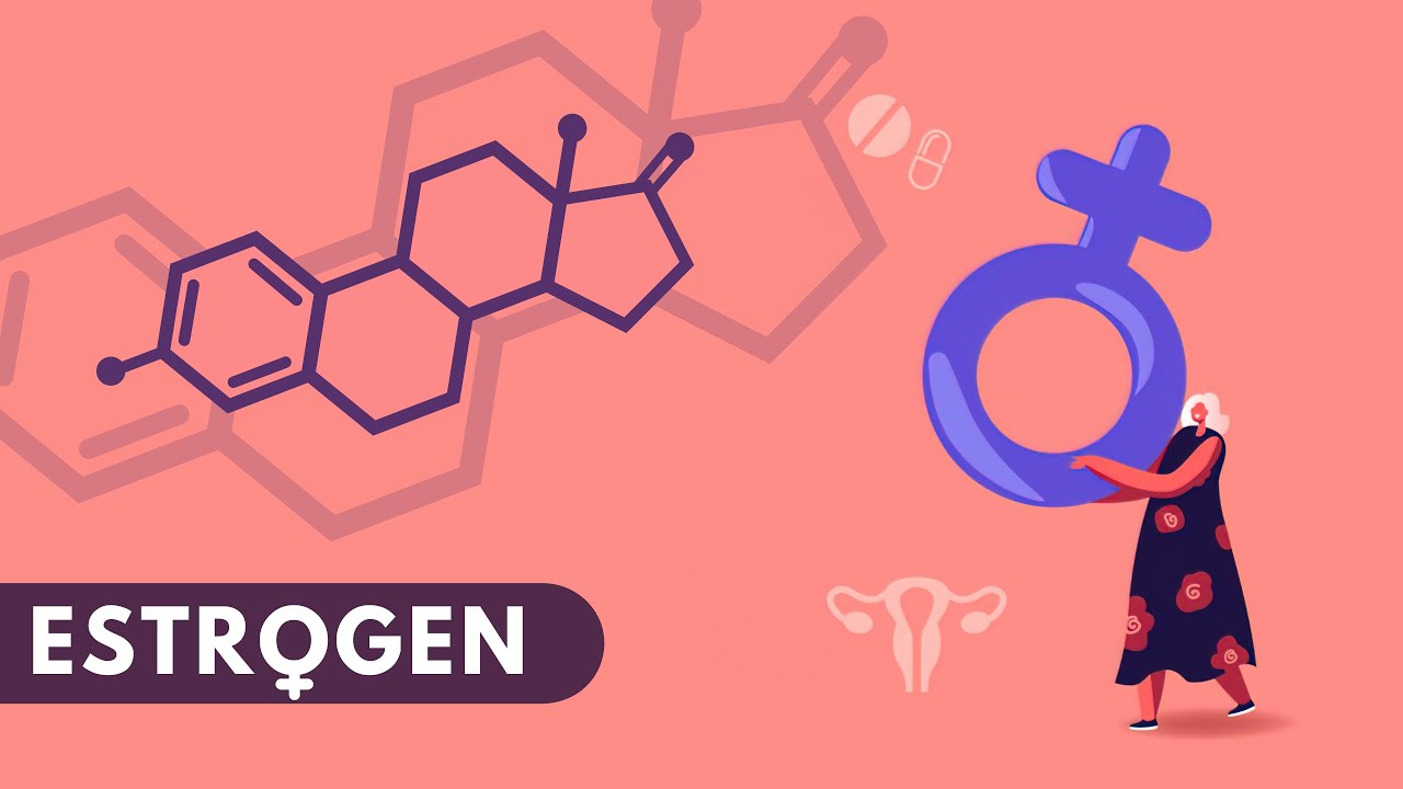 ESTROGEN GORMONI