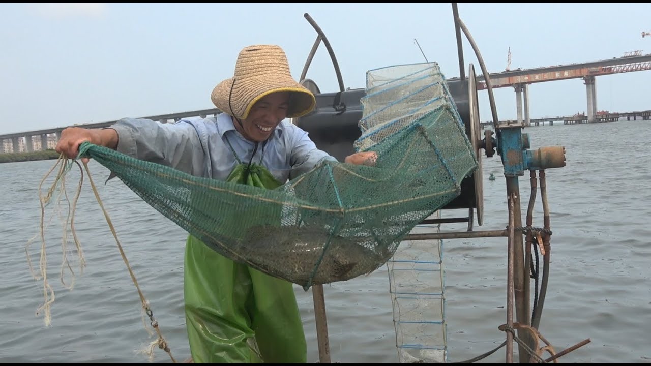 一个月没来深水域赶海，小池幸运抓到4斤重的大石斑鱼，要乐坏了