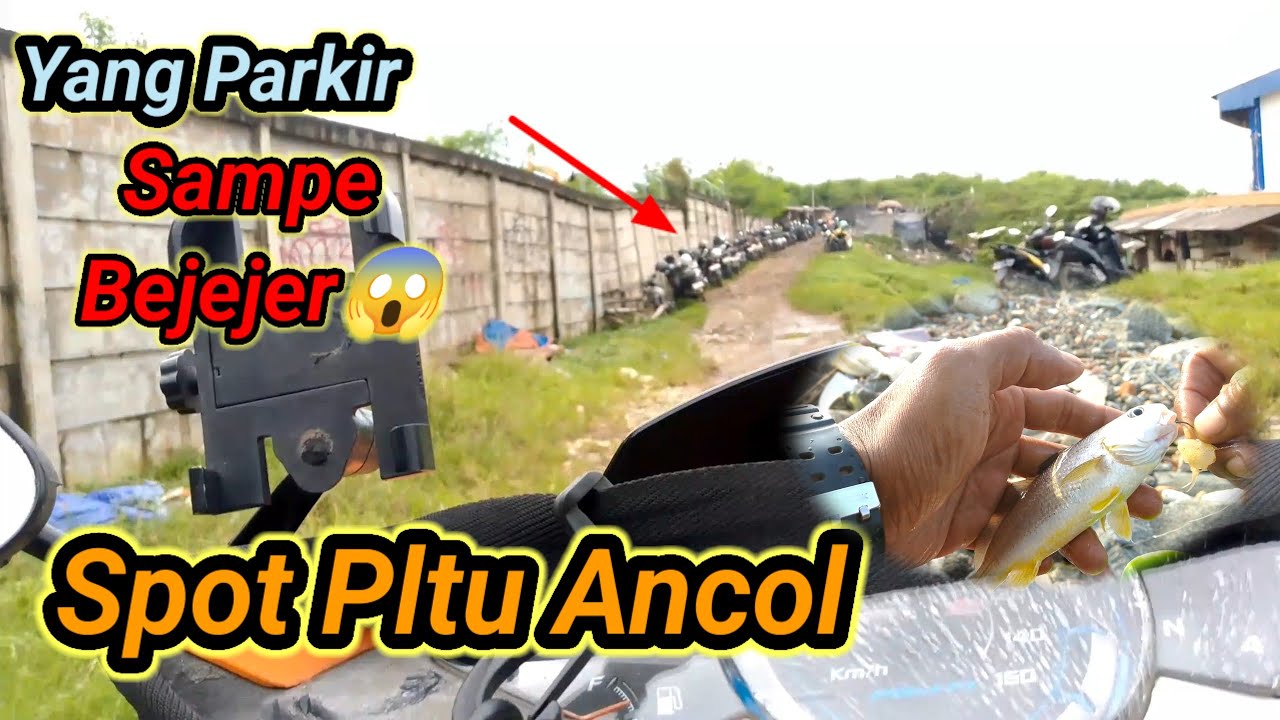MANCING KE SARANG KONTAINER || SPOT PLTU ANCOL