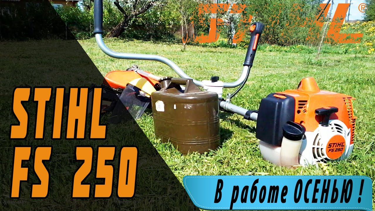 Бензотриммер Stihl fs 250. Покос осенней травы.