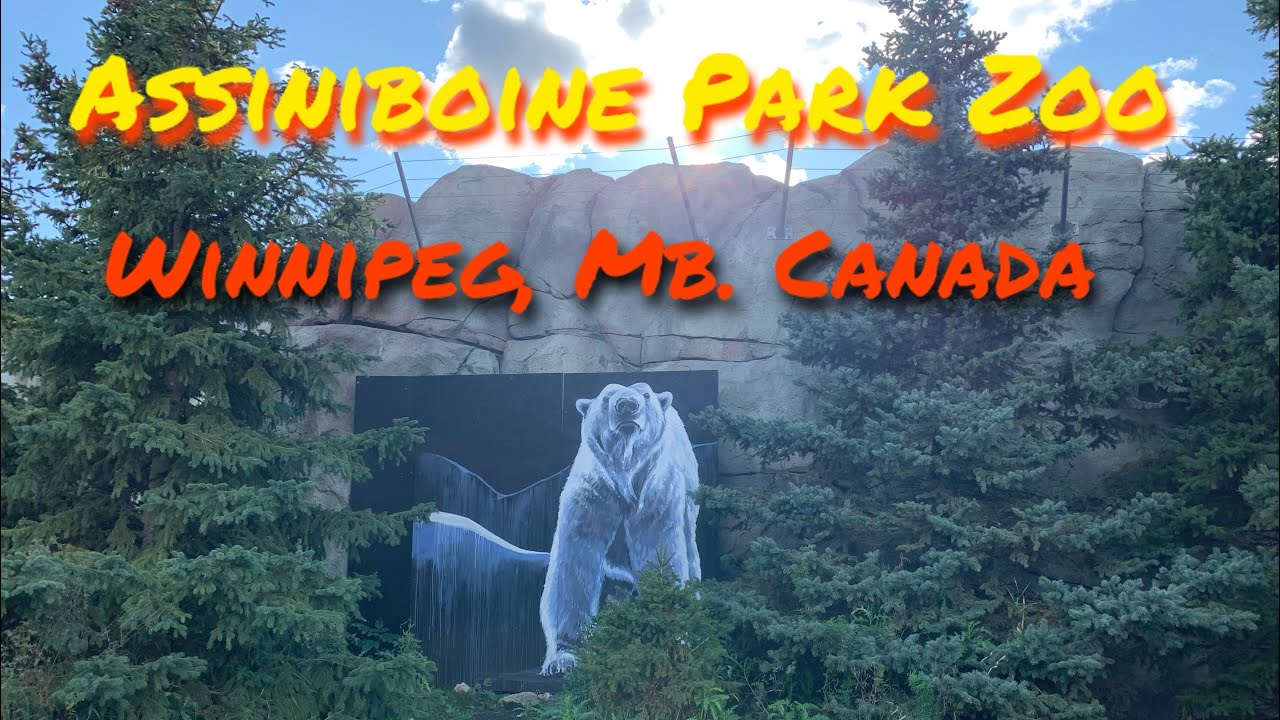 Assiniboine Park Zoo in Winnipeg, MB [Fall2024]