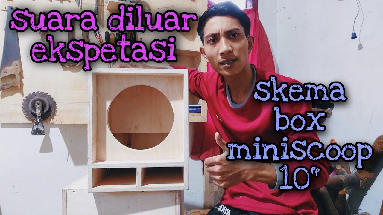 SKEMA BOX MINISCOOP 10 INCH CUSTOM LOW SUB