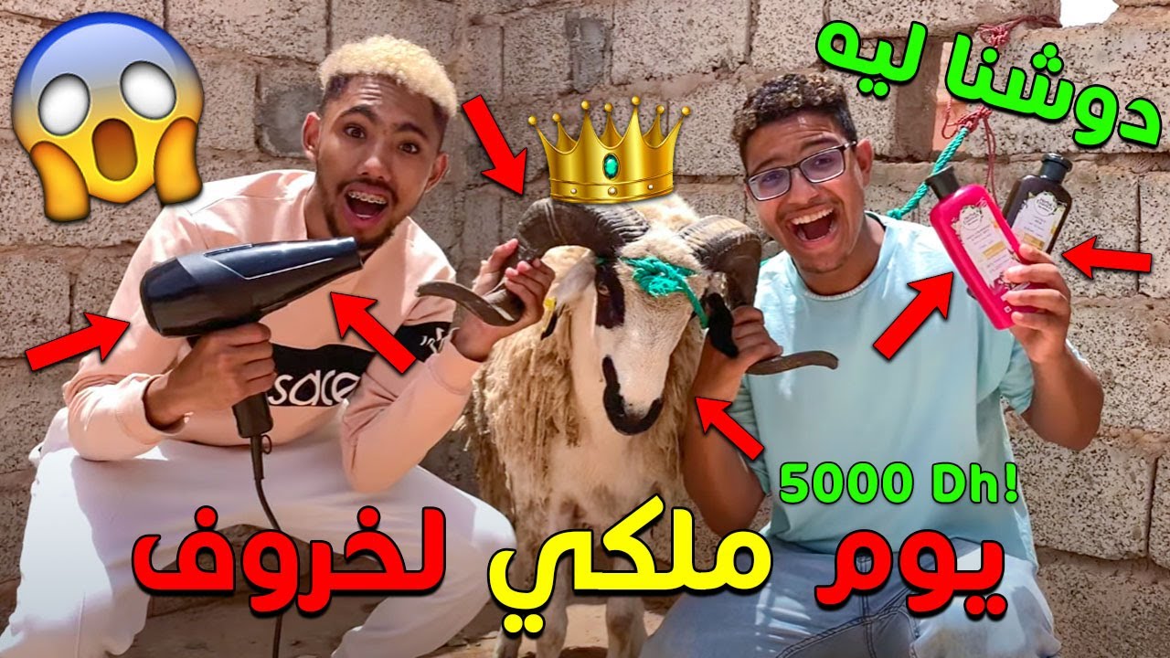 و اخيرا خليت خروف يعيش يوم ملكي 🐏👑 خسرت عليه كاع فلوسي 😭💔