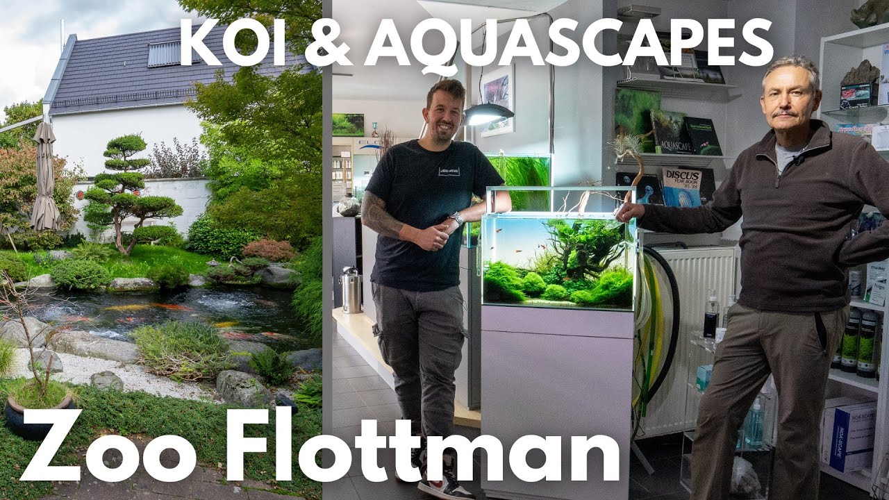 Einer der sch&ouml;nsten Aquarium L&auml;den in Deutschland! Zoo Flottmann | Liquid Nature on Tour