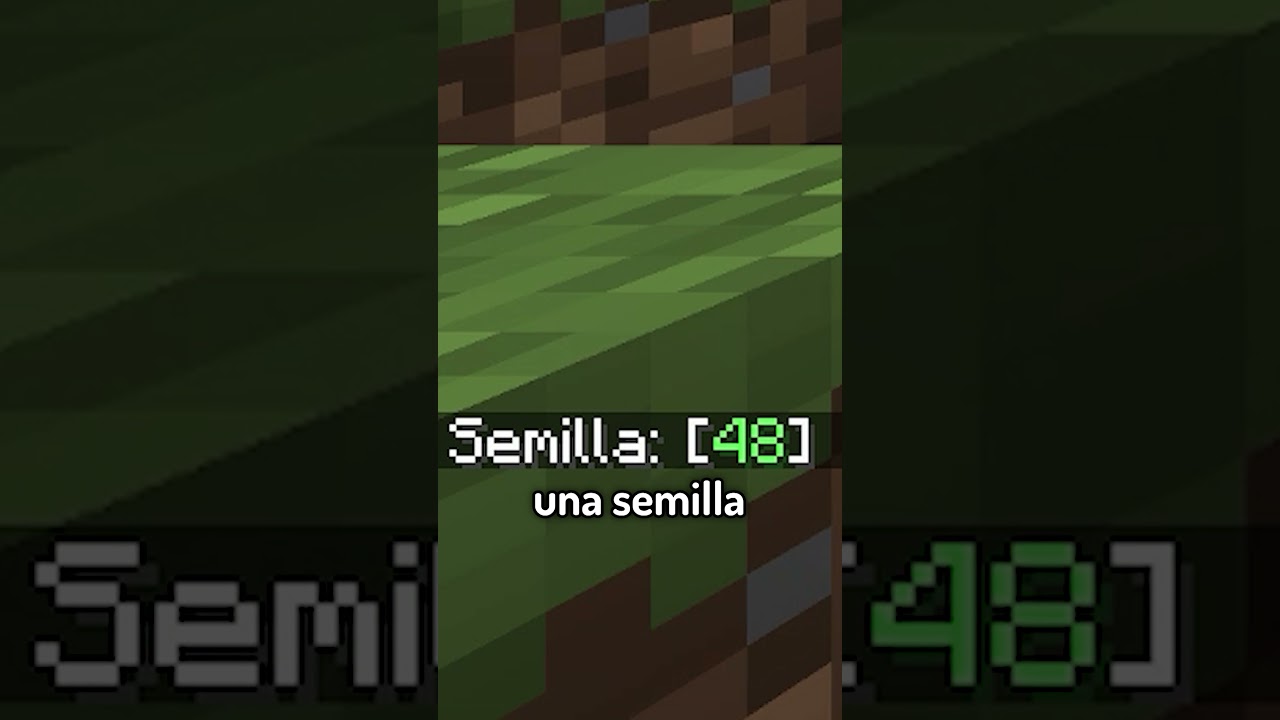 La SEMILLA M&Aacute;S RARA de MINECRAFT...