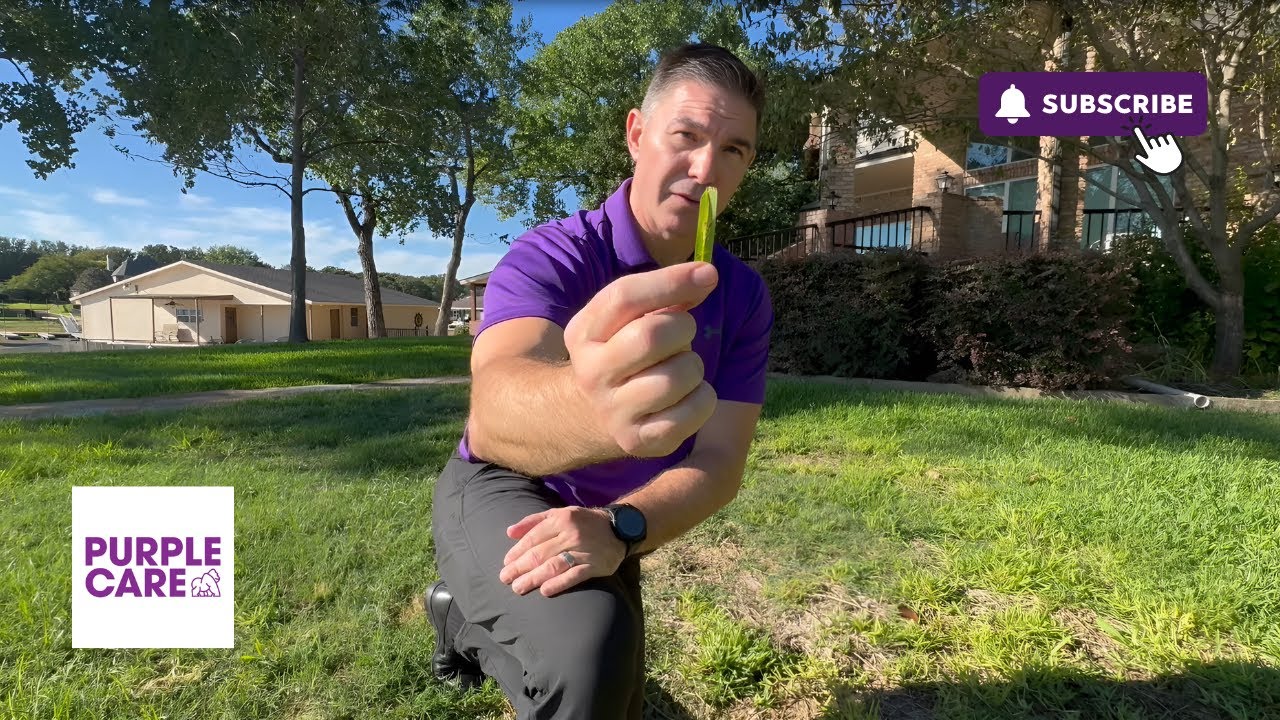 How To Ensure Your St. Augustine Grass Can Fight Against Fungus!