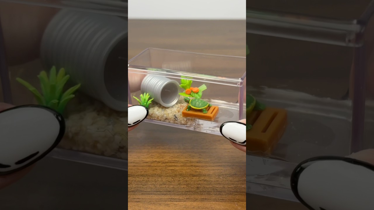 Make a mini home for my mini turtle with me! 🐢🤭