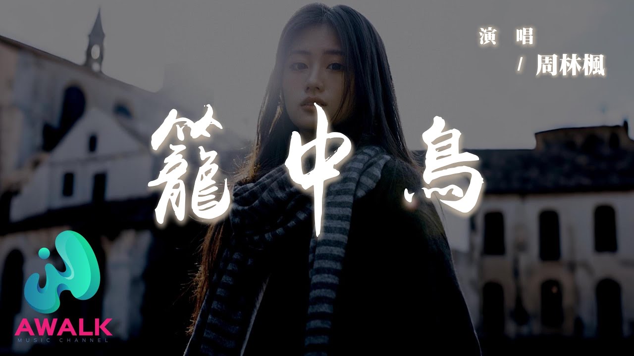 周林楓 - 籠中鳥『她~她她她和魔鬼做了交易，他~他他他偷偷偷走她的心。』【動態歌詞 | Pinyin Lyrics】【AWALK MUSIC】