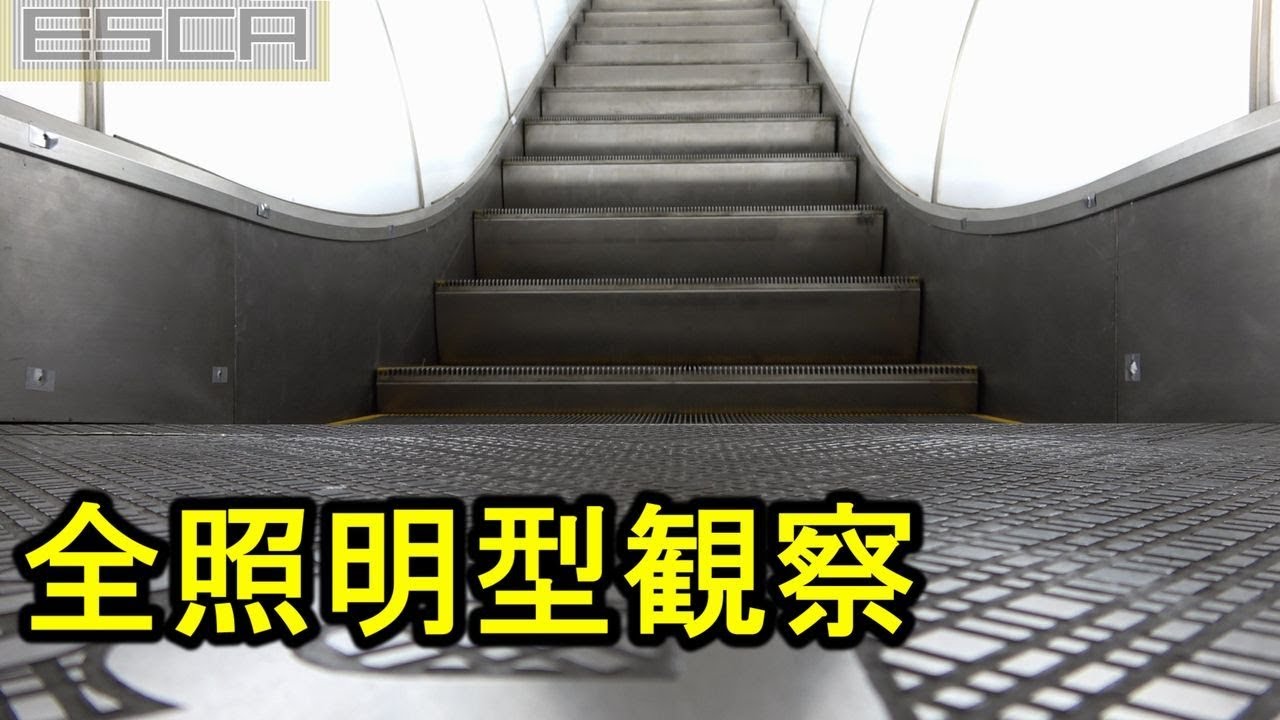 【稼働観察】栄スカイル 旧式 エスカレーター 東芝 Toshiba Escalator Sakae skyle nagoya japan