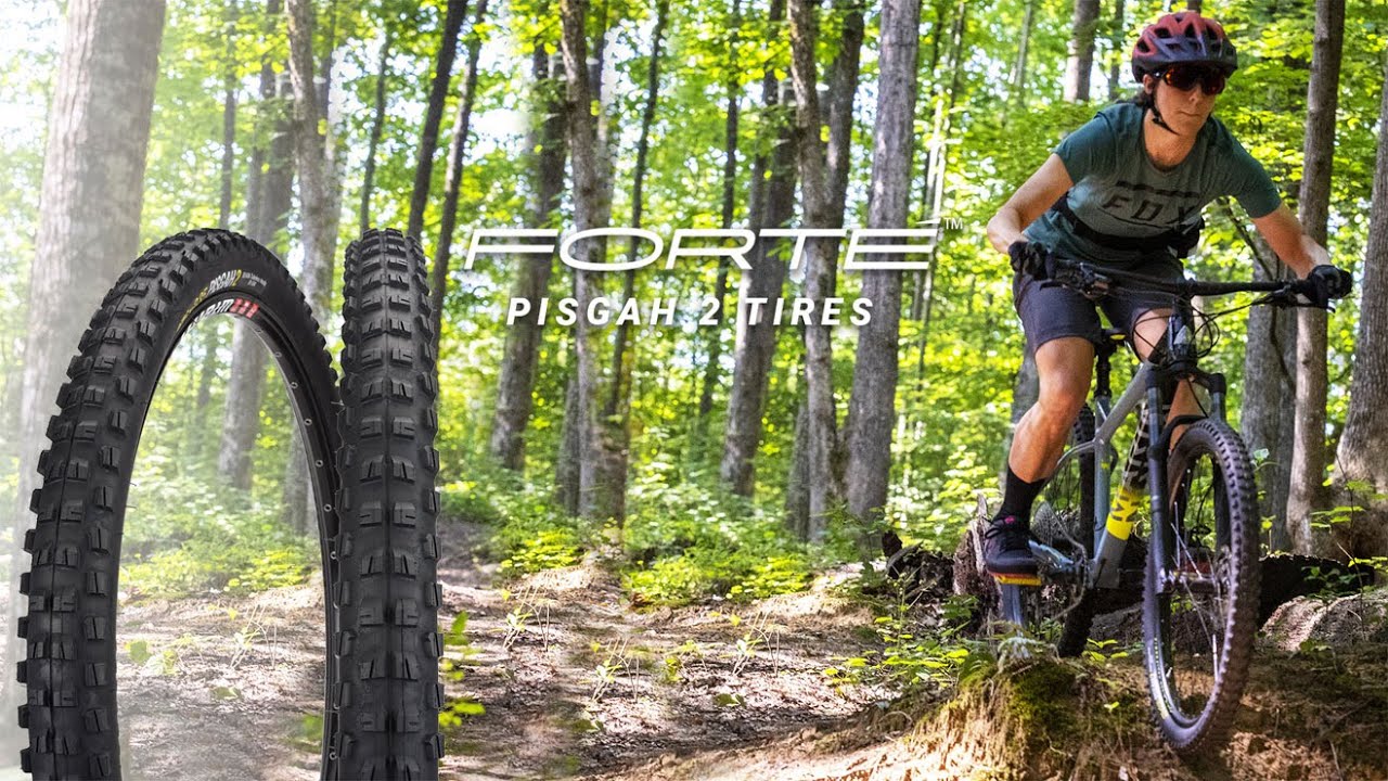 Forte Pisgah 2 Tubeless Ready Mountain Tire By Performance Bicycle