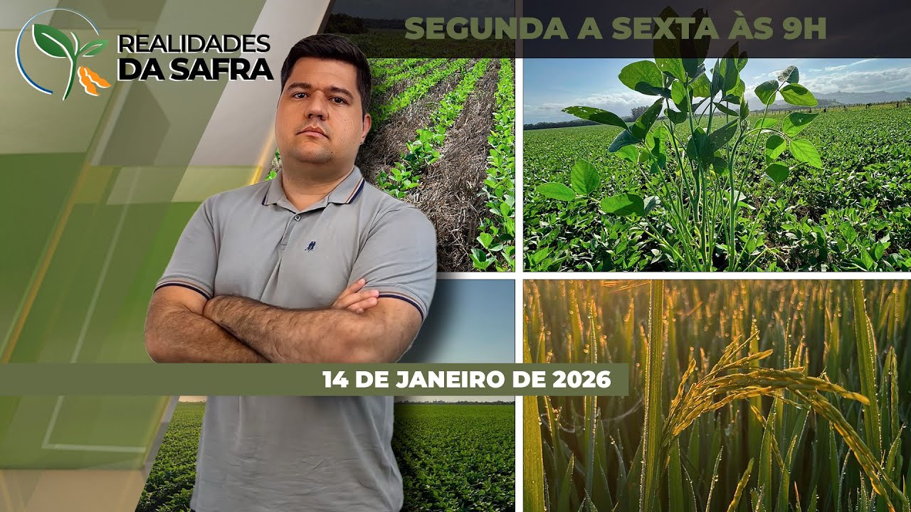 Colheita da soja avança pelo Brasil com regiões esperando boas produtividades