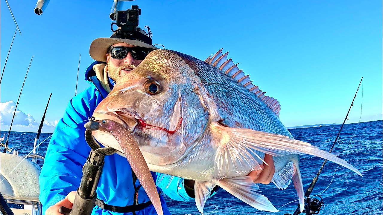It’s SNAPPER TIME!! | The Season is back OPEN! (Catch & Clean)