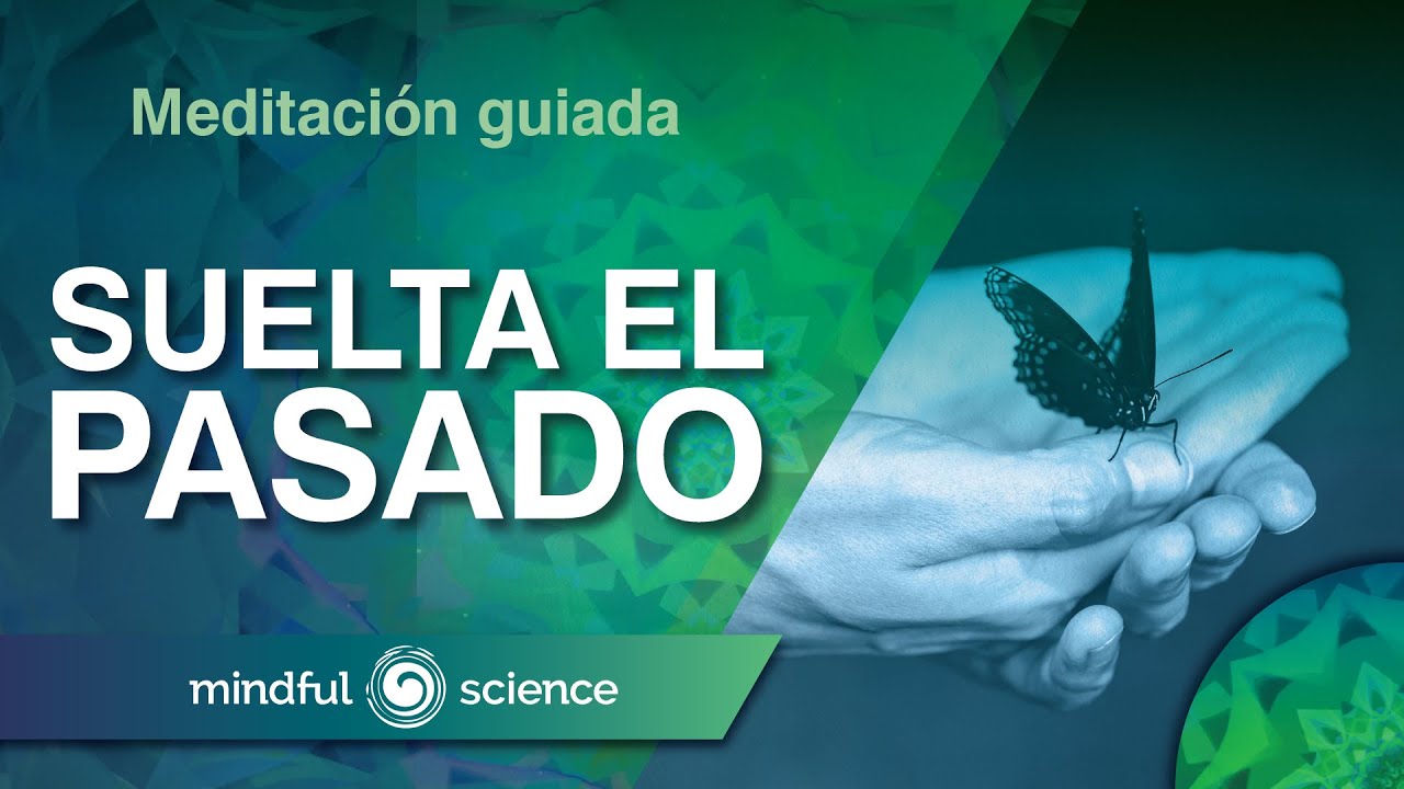 🎧Meditación Guiada: Paseo por el bosque | Agradece, Bendice, Ama y Suelta| Mindful Science.