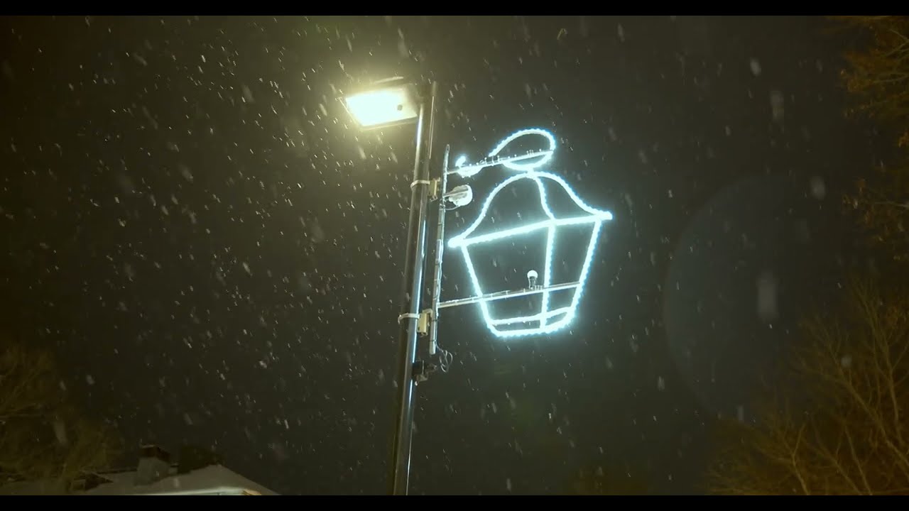 Snow Walk in Dark Garden || BMPCC4K + Sirui Jupiter 24mm + Zhiyun Crane 2S