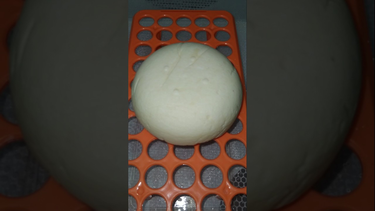 Fromage maison style tomme #fromagemaison #cheese #جبن