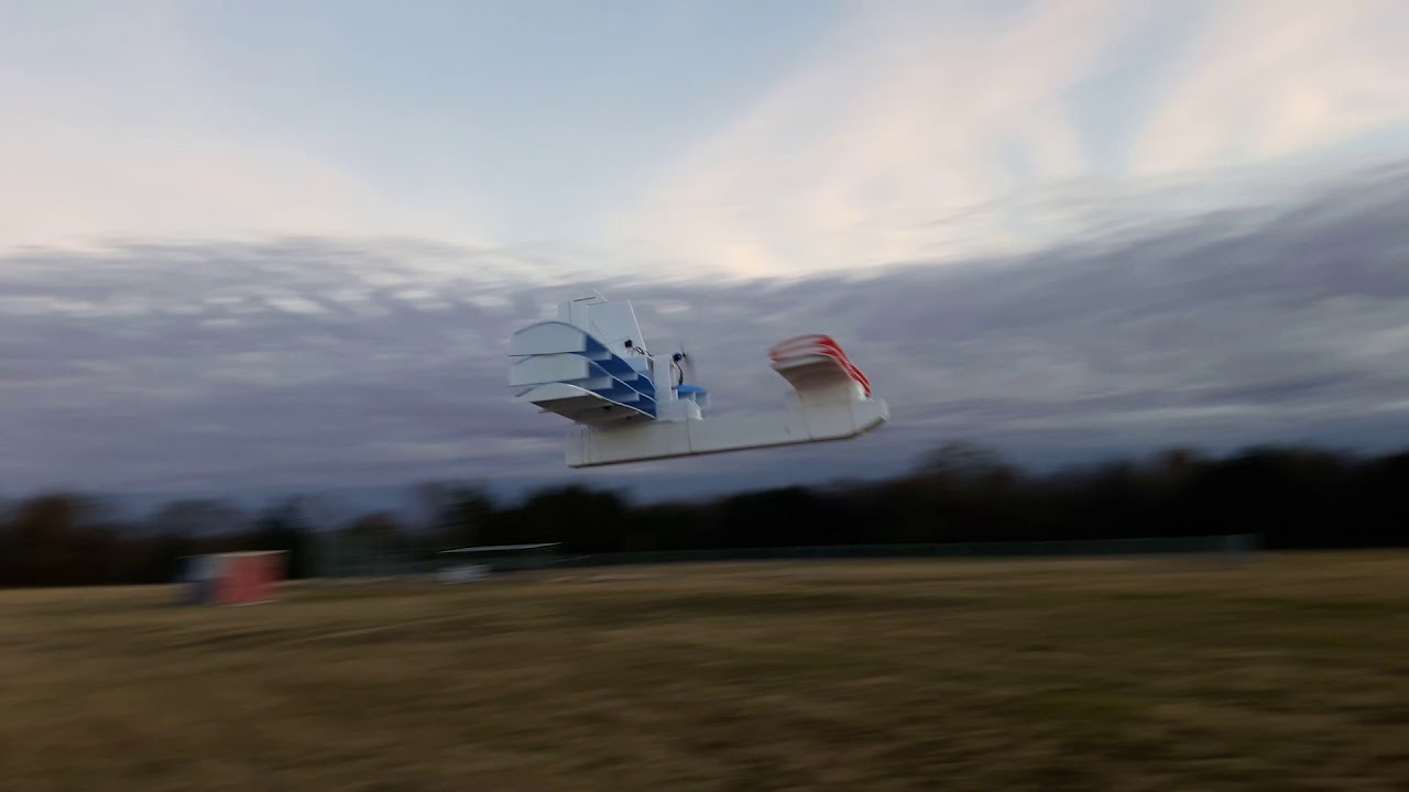 Twin Tri Wing Rc Canard
