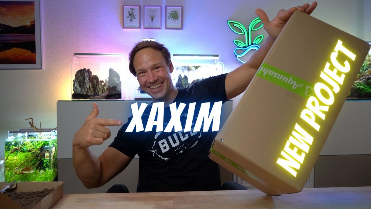 XAXIM statt Terra Base?! NEO GLAS AIR Projekt 2.0 - Unboxing & Bepflanzung - Emotion in Aqua