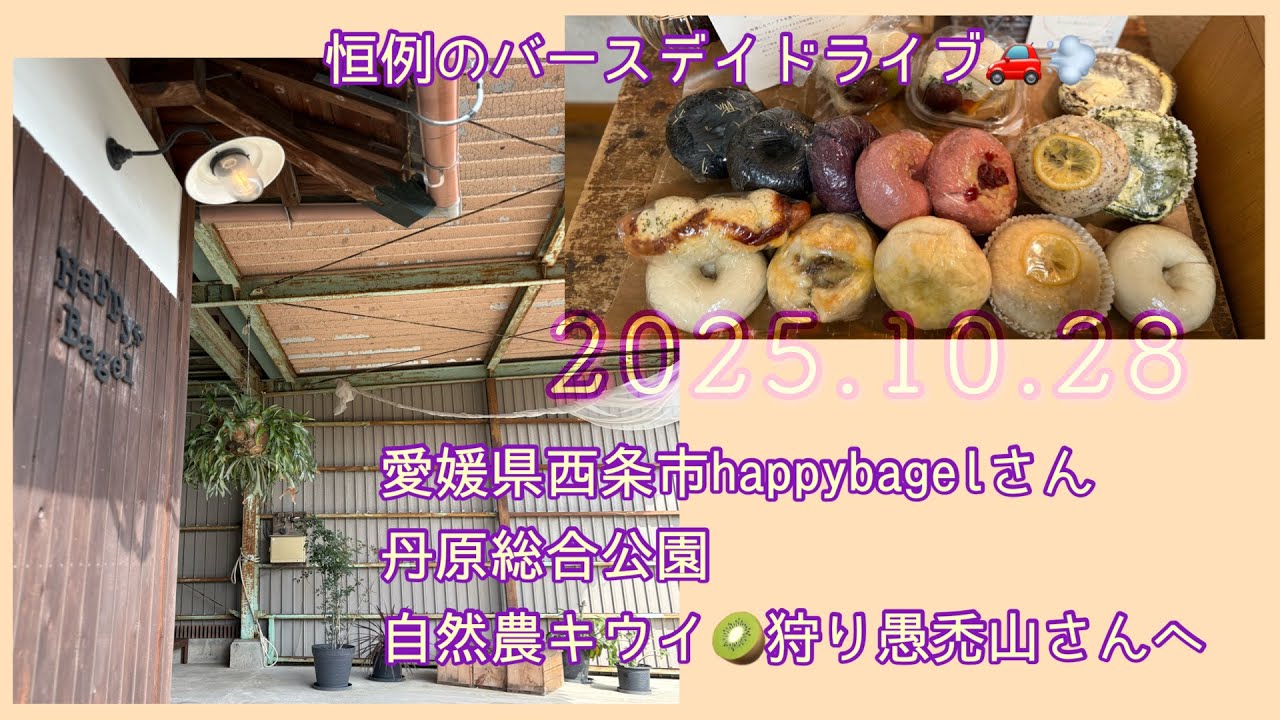 バースデイドライブ　西条丹原のハッピーベーグルさん〜公園散策〜キウイ狩り愚禿山へ🥝