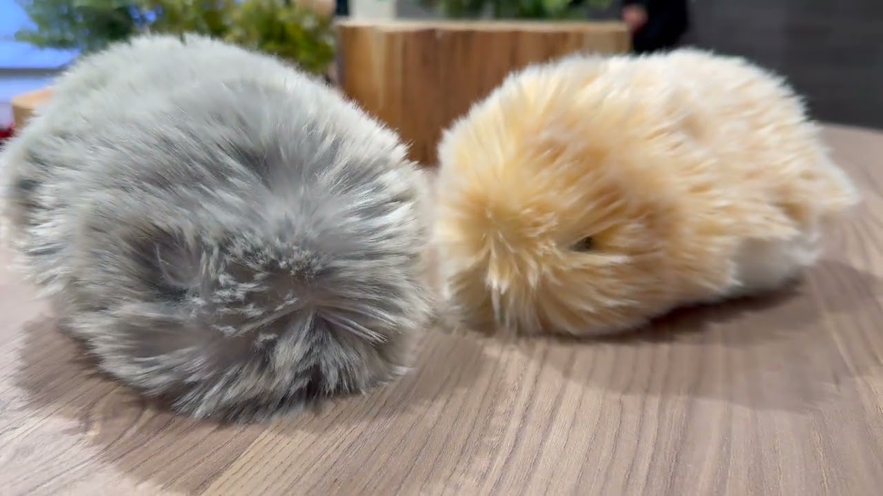 カシオ計算機：AIペットロボット「Moflin モフリン 」