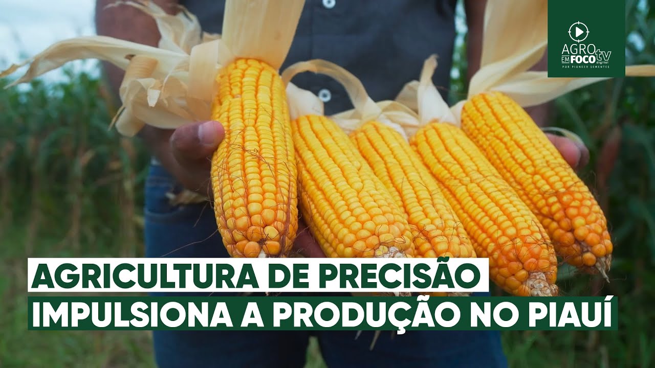 Tecnologia na agricultura: a evolução que possibilitou as safrinhas no Piauí - #66 - Agro Em Foco