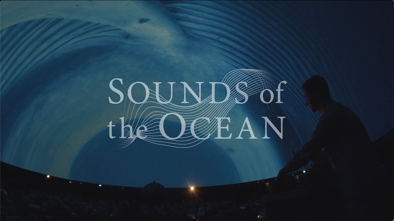 Sounds of the Ocean - A Live Immersive Experience - 2024 Trailer