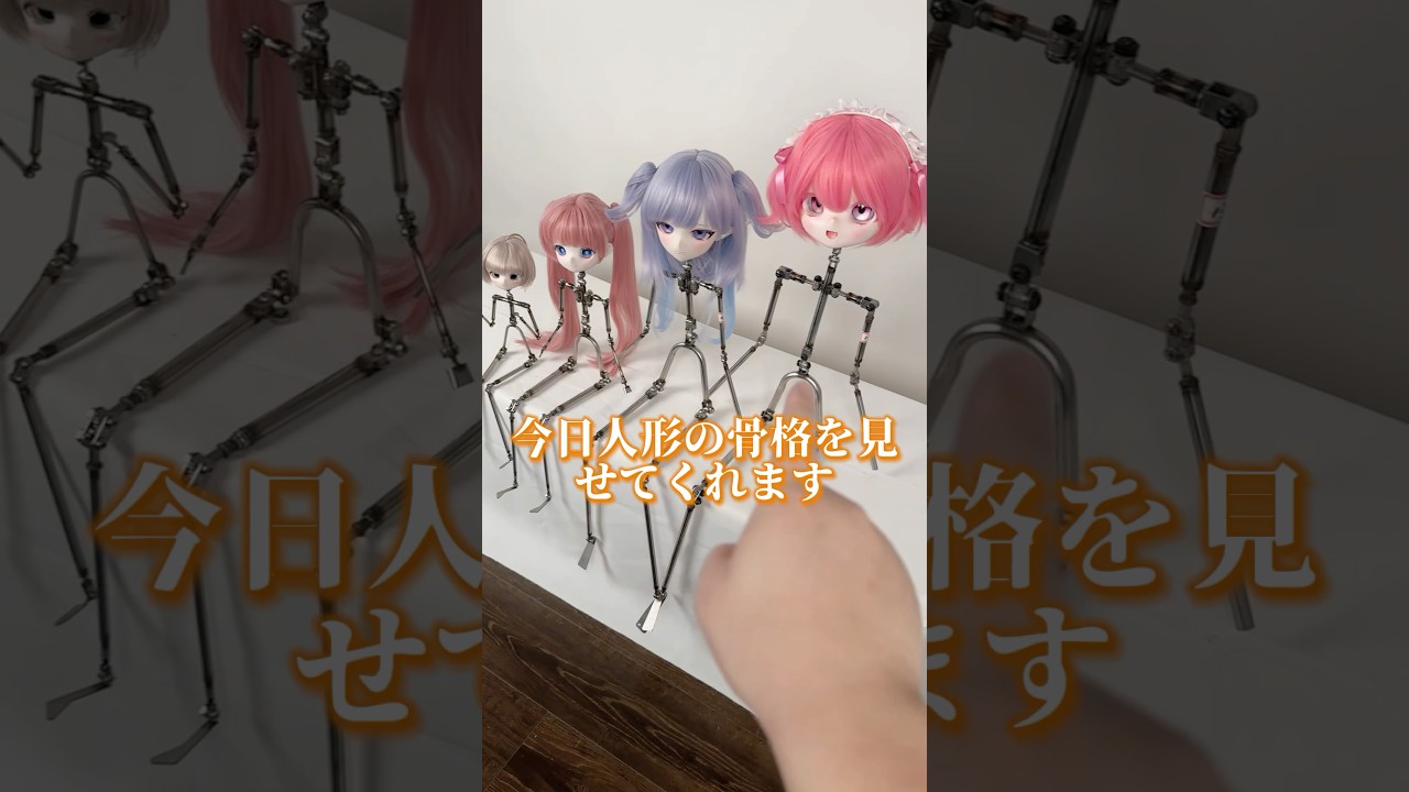 違うサイズ人形の骸骨比較#人形 #ドール #doll #アニメ #capcut