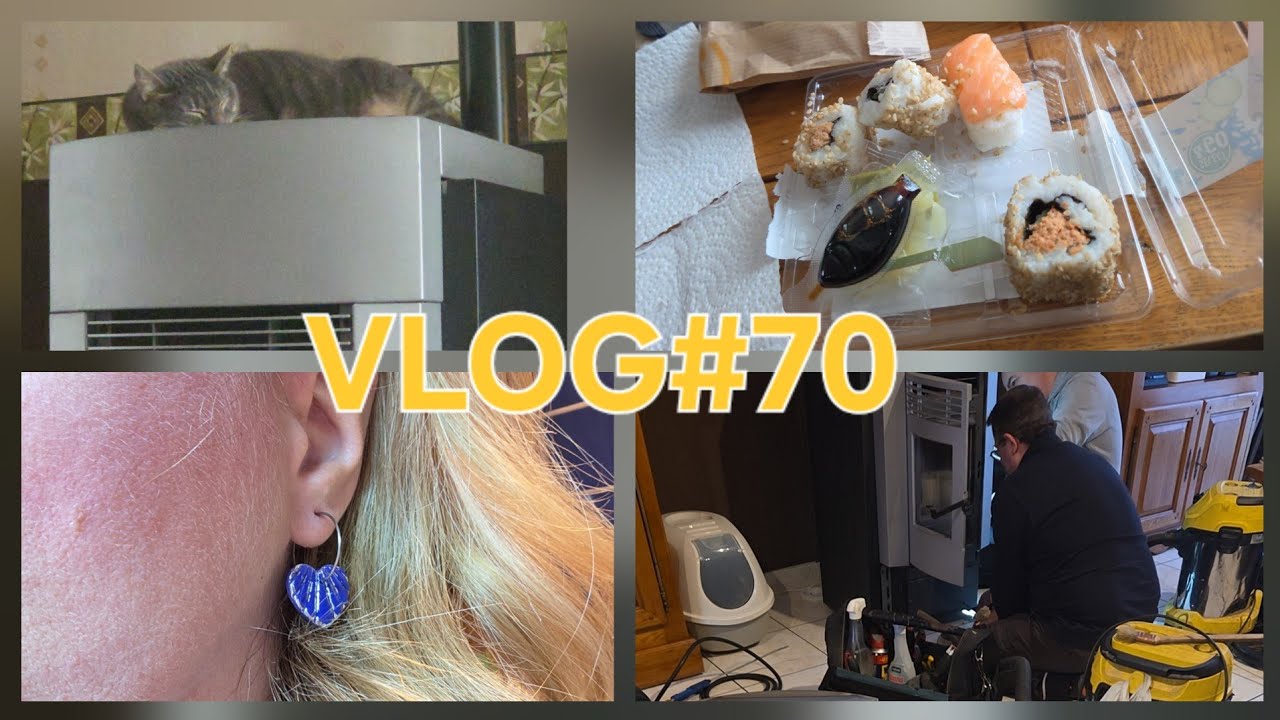 VLOG#70 BOULOT RAMONAGE COMMANDES LIDL BOUCLES OREILLES AMAZON BLA BLA .....🙈💰🛍