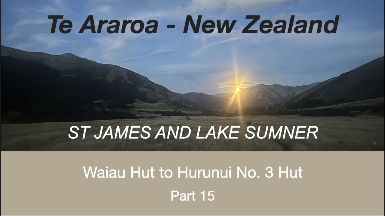 Waiau Hut to Hurunui No. 3 Hut - Te Araroa (Part 15)
